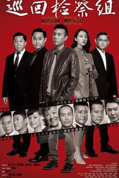 巡回检察组(DVD版)