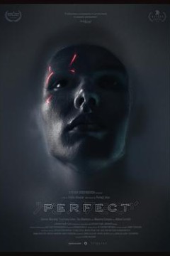 完美Perfect