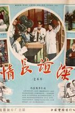 情长谊深