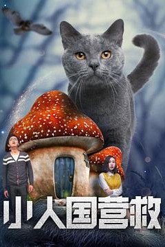 小人国营救