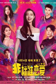 非标准恋爱4K