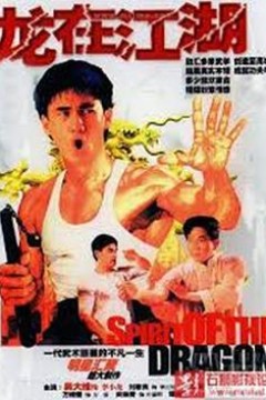 李小龙传国语