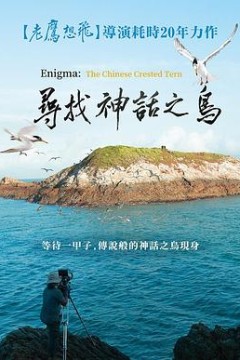 寻找神话之鸟