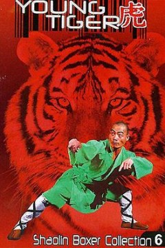 小老虎