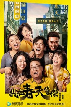 我在春天等你