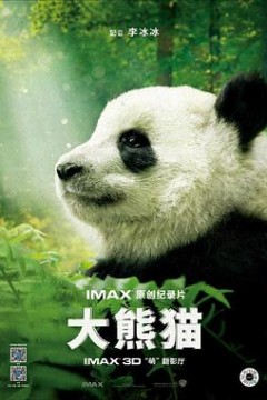 大熊猫