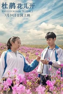 杜鹃花儿开
