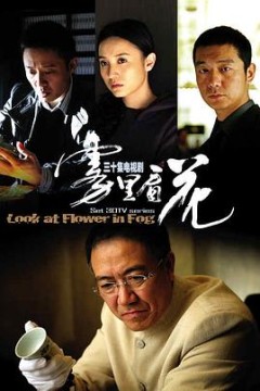 雾里看花
