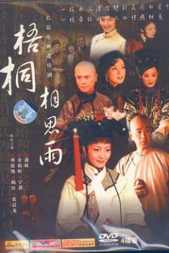 梧桐相思雨