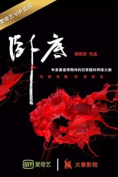 卧底2017