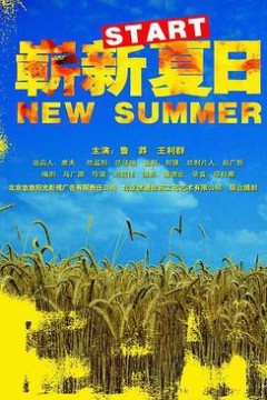 崭新夏日