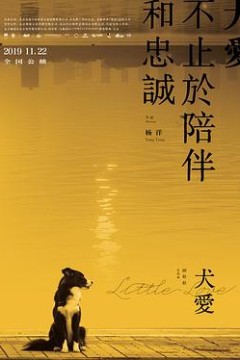 犬爱