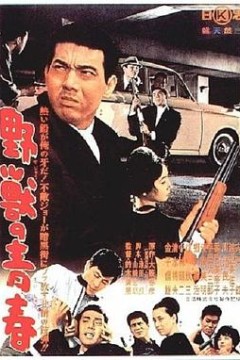 野兽的青春
