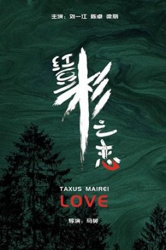 红豆杉之恋