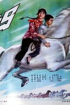 白龙马