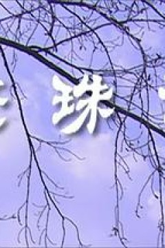 还珠记