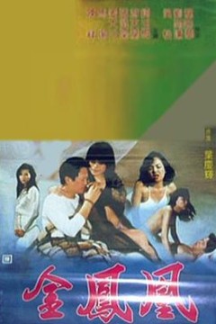 金凤凰1988