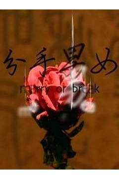 分手男女2008