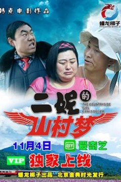 二妮的山村梦2017