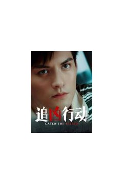 追凶行动