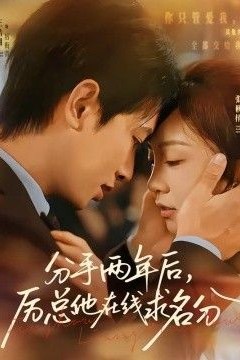 分手两年后，厉总他在线求名分