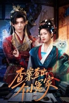 查案查出个小冤家