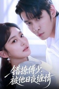 错撩傅少，被他日夜缠情