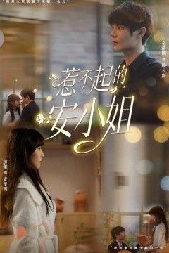 惹不起的安小姐
