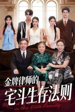 金牌律师的宅斗生存法则