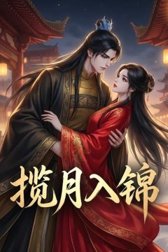 揽月入锦