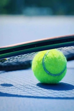 WTA500伦敦站女单第一轮：郑钦文VS克里斯蒂安