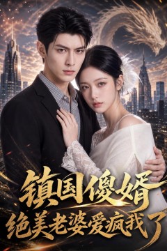 镇国傻婿：绝美老婆爱疯我了