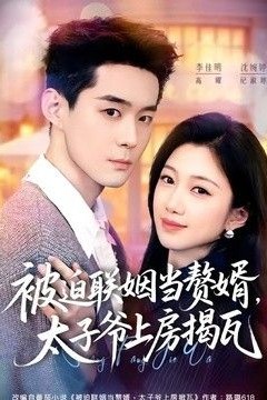 被迫联姻当赘婿，太子爷上房揭瓦