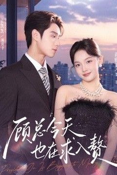 顾总今天也在求入赘