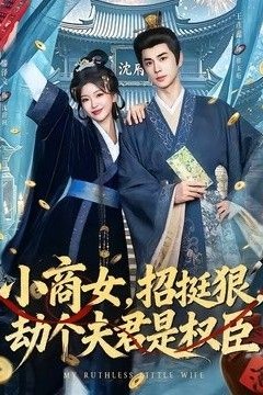 小商女，招挺狠，劫个夫君是权臣