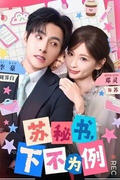 苏秘书，下不为例
