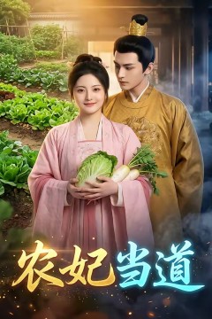 农妃当道.