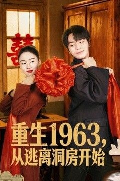重生1963！从逃离洞房开始