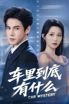 车里到底有什么