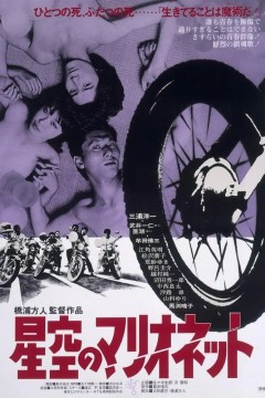 木偶的星空星空