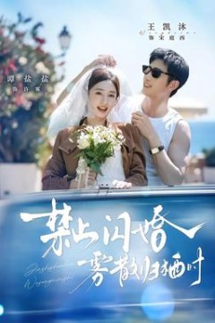 禁止闪婚，雾散归栖时