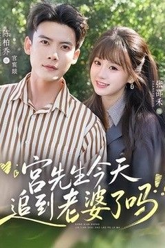 宫先生今天追到老婆了吗