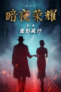 暗夜荣耀