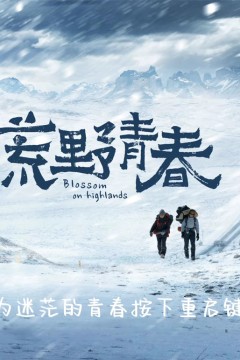 荒野青春