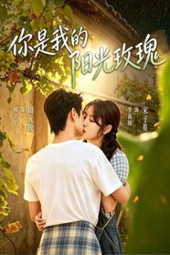 你是我的阳光玫瑰