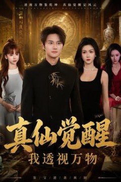 真仙觉醒，我透视万物