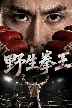 野生拳王