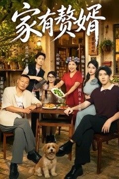家有赘婿