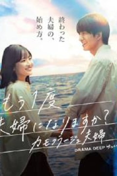 再做一次夫妇的夫妇