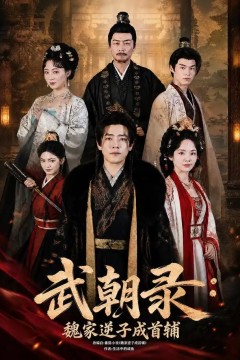 武朝录：魏家逆子成首辅